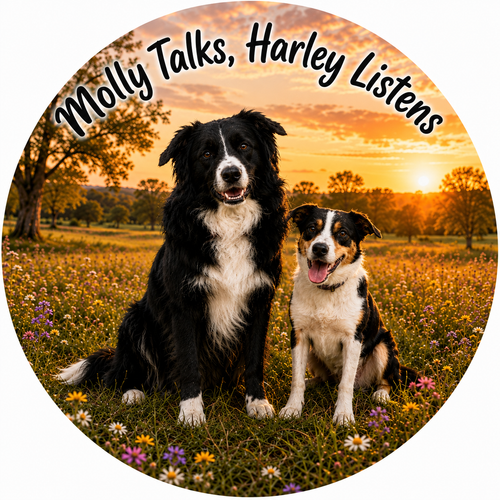 Molly Talks, Harley Listens