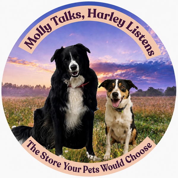 Molly Talks, Harley Listens