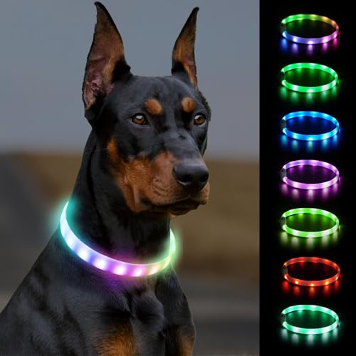 Rechargeable LED Dog Collar - Waterproof Night Safety Light - 27.5 Inch