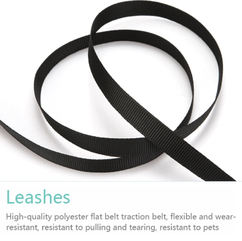 16.5FT Retractable Dog Lead | Tangle-Free Walking Leash