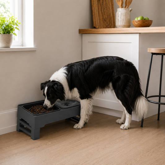 Adjustable Height Dog Feeding Bowls