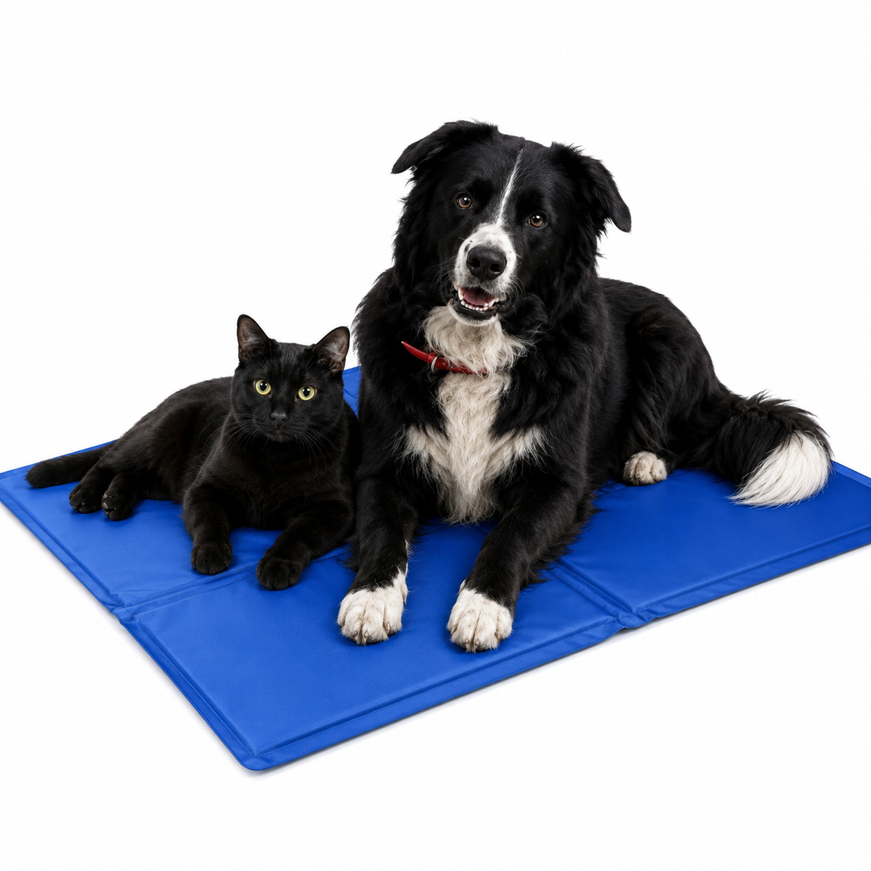 Cooling Gel Pet Mat – Summer Cooling Pad for Dogs & Cats