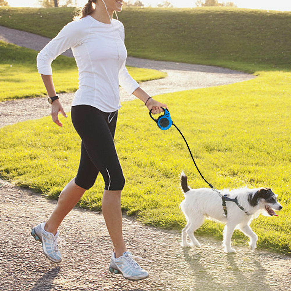 16.5FT Retractable Dog Lead | Tangle-Free Walking Leash